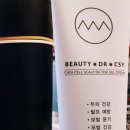 쵸이셀