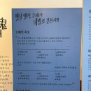 장생포고래로 | 울산명물 고래바다여행선, 장생포고래박물관 관람 후기