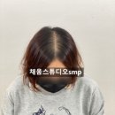 채움스튜디오smp 이미지