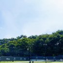 더 파인트리 이미지