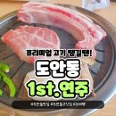 도안동맛집 1st.연주에서 맛있는 고기 먹은 후기!