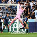 핑크 스파이더 이미지