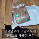 쓰리엘 | [15살 땅콩이에게 기호성 좋았던 고양이모래] 매직코코 코코넛 고양이 모래 후기