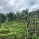 세풍농장 이미지