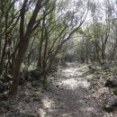 오일시장 체육공원 이미지