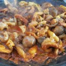 잘빠진쭈꾸미 이미지