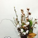 목화헤어샵 - 함평군 서부길 94-39 | 목화헤어샵