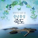 선착장 태양광발전소 이미지