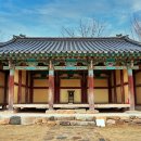 홍산객사 은행나무 이미지