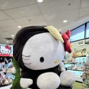 오케이(OK)뷰티마켓 | 뉴질랜드 오클랜드 기념품샵 OK GIFT SHOP 호주 키티 가격 파는 곳