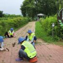 청도군-2 이미지