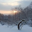 퍼시픽블루 이천 이미지