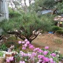 할머니농장 이미지