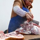 사시마을 Daum카페