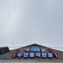 청파 반건조수산 2호점 | [충남/태안]삼복수산 | 태안 모항항수산시장 암꽃게 내돈내산 후기🦀 모항항 꽃게 쪄주는 곳