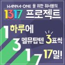 1317 이미지