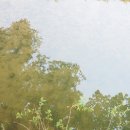 신선계곡야영장 이미지