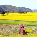 비슬산폭포별장 이미지