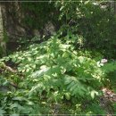 옥수골 마을 이미지