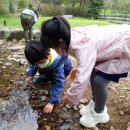 이루숲어린이집 이미지