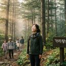 7월의 초록, 힐링하기 좋은 국내 숲속 숙소 추천