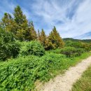 구암동498 이미지