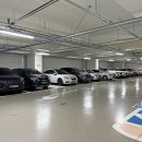 미사도담의원 | 하남 마일스톤 소아과 영유아 검진 후기 (24개월)