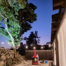 벨롱스테이 | 제주도 애월 온수수영장 독채 풀빌라 펜션 :: 펠롱스테이 in 애월