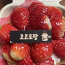 코코로팡 이미지