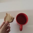 얼마나 자주 바다에 가고 싶다고 생각하시나요?