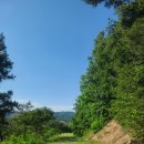 아이리스스크린골프 이미지