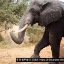 잠언농장 이미지