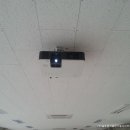 H1700 Daum카페