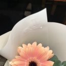 플라워맑음 이미지
