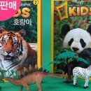 내셔널지오그래픽 - 청주시 상당구 상당로69번길 20 | 내셔널지오그래픽