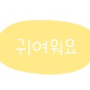 붐붐전자