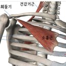 라임필라테스 - 수영구 광안해변로344번길 17-3 | 라임필라테스