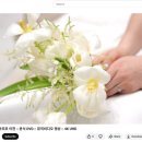 은하DVD | [W5] 르랑필름 천안티웨딩 투게더홀 본식DVD 계약후기(추천코드있음)