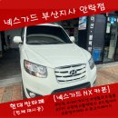 넥스가드부산지사