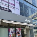 사공일구이양산 | [내돈내산 자전거 용품] "사공일구이 40192 양산점" 방문후기 : 스미스 와일드캣 변색 / 랭킹 헬멧...