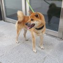 삼락택지길 이미지