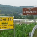 옥성농장 이미지