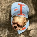 오이소바다풀빌라 이미지