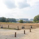 매내골 농장 이미지