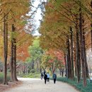 송정제방길 이미지