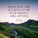 디부부 이미지