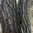 바위회관 이미지