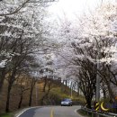 나무테크 이미지