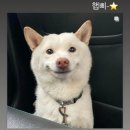 리더스식자재할인마트봉화점 | T2. 봉화 1박2일 촌캉스