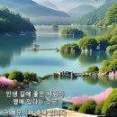 노세노세 이미지